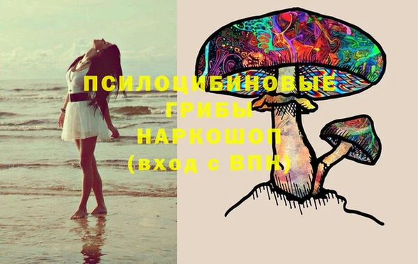mix Алексин