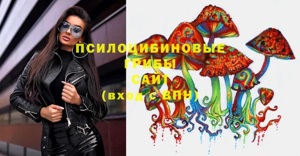 скорость Алзамай